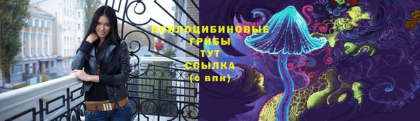 СК Алексеевка